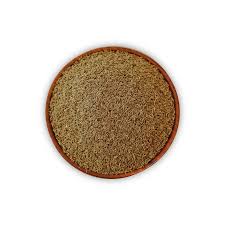 Cumin  Seed