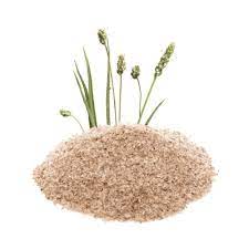 Psyllium husk Powder